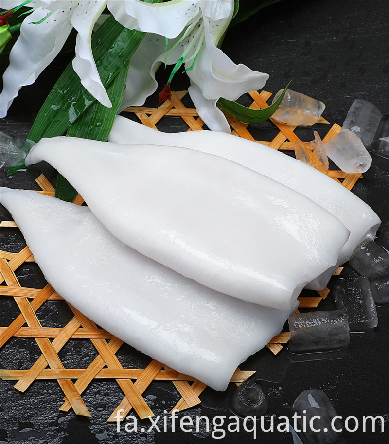 دوسیدیکوس گیگاس Dosidicus Gigas